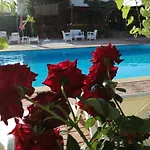 Ethno Guest Apartment
