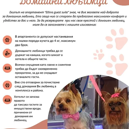 Апартаменты Ethno Guest