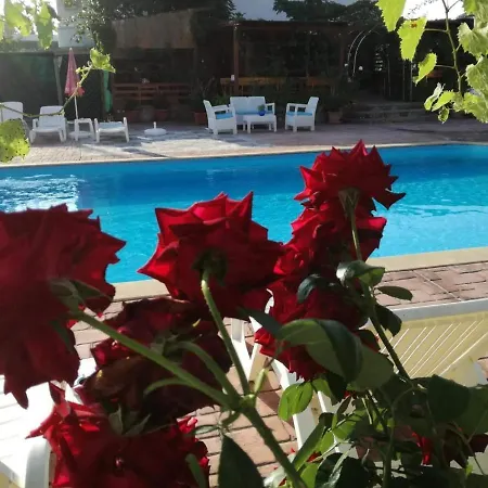 Ethno Guest Apartament