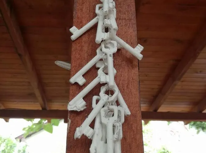 Апартамент Ethno Guest *